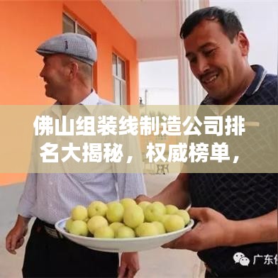 佛山組裝線制造公司排名大揭秘，權(quán)威榜單，行業(yè)巨頭一網(wǎng)打盡！