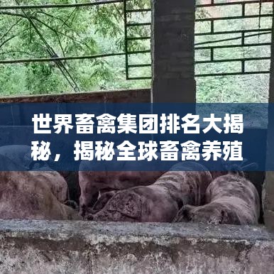 世界畜禽集團排名大揭秘，揭秘全球畜禽養(yǎng)殖巨頭榜單