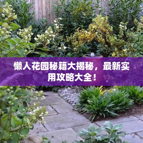 懶人花園秘籍大揭秘，最新實(shí)用攻略大全！