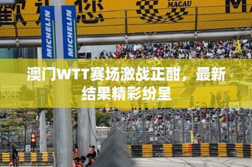 澳門WTT賽場激戰(zhàn)正酣，最新結果精彩紛呈