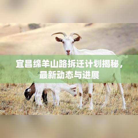 宜昌綿羊山路拆遷計(jì)劃揭秘，最新動(dòng)態(tài)與進(jìn)展