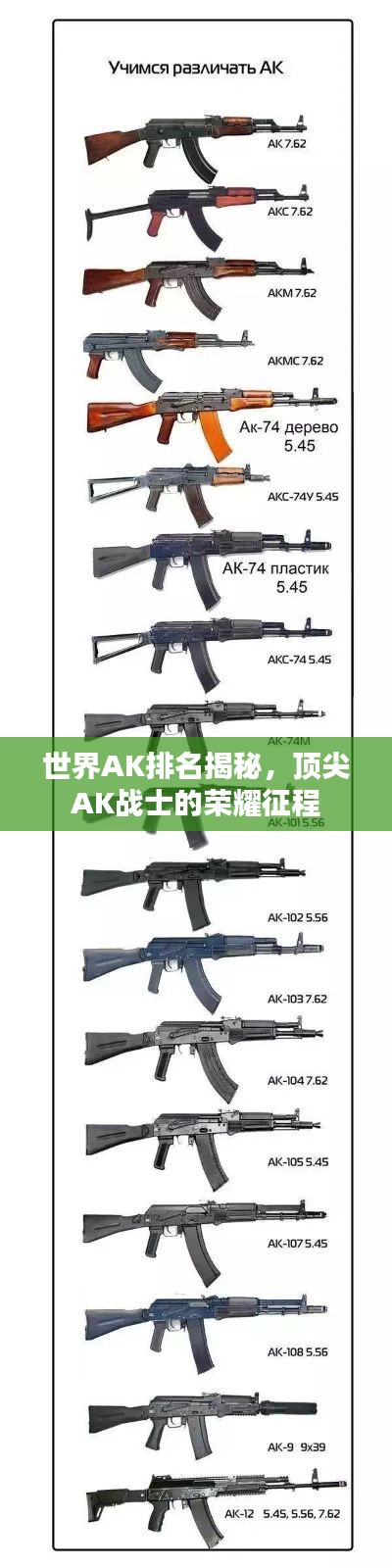 世界AK排名揭秘，頂尖AK戰(zhàn)士的榮耀征程
