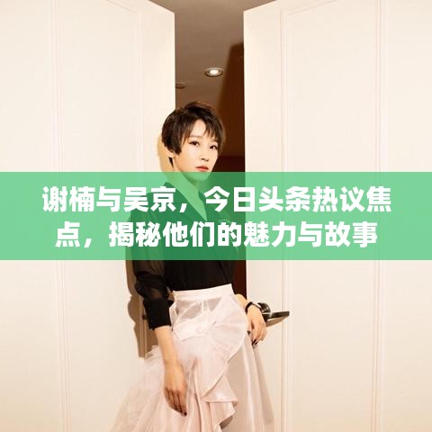 謝楠與吳京，今日頭條熱議焦點(diǎn)，揭秘他們的魅力與故事