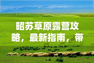 昭蘇草原露營攻略，最新指南，帶你玩轉(zhuǎn)草原露營！