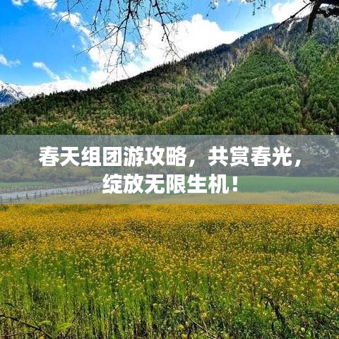 春天組團(tuán)游攻略，共賞春光，綻放無限生機(jī)！
