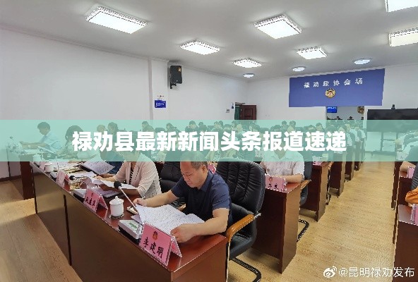 祿勸縣最新新聞頭條報(bào)道速遞