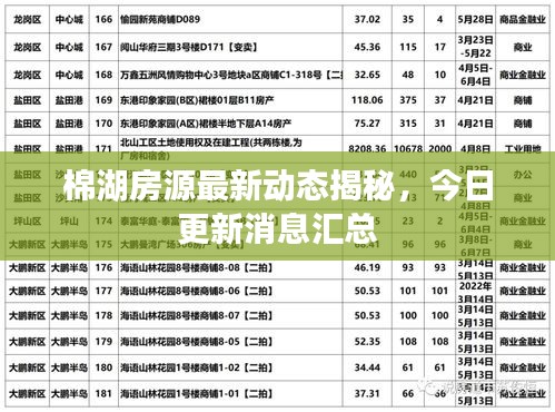 棉湖房源最新動(dòng)態(tài)揭秘，今日更新消息匯總