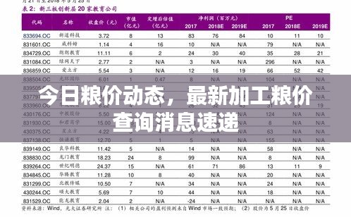 今日糧價動態(tài)，最新加工糧價查詢消息速遞