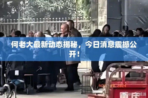 何老大最新動(dòng)態(tài)揭秘，今日消息震撼公開！