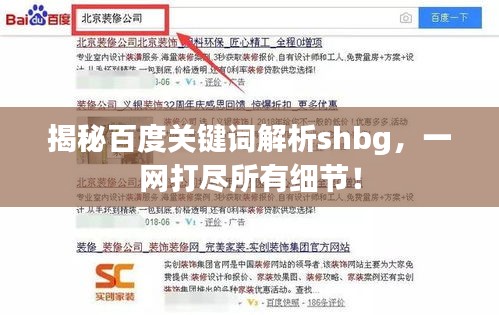 揭秘百度關(guān)鍵詞解析shbg，一網(wǎng)打盡所有細(xì)節(jié)！