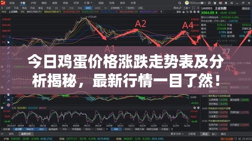 今日雞蛋價(jià)格漲跌走勢(shì)表及分析揭秘，最新行情一目了然！