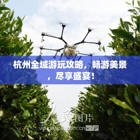 杭州全域游玩攻略，暢游美景，盡享盛宴！
