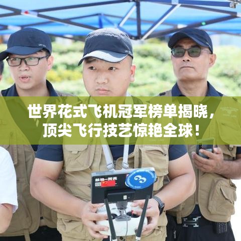 吉光片羽 第2頁(yè)