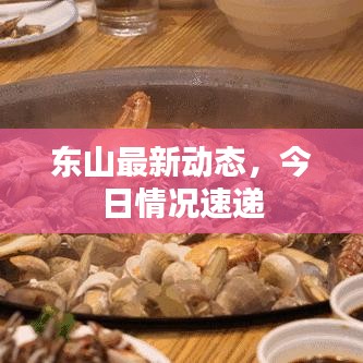東山最新動(dòng)態(tài)，今日情況速遞