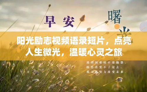 陽光勵志視頻語錄短片，點亮人生微光，溫暖心靈之旅