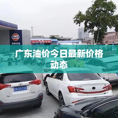廣東油價(jià)今日最新價(jià)格動(dòng)態(tài)