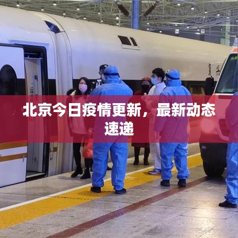 北京今日疫情更新，最新動(dòng)態(tài)速遞
