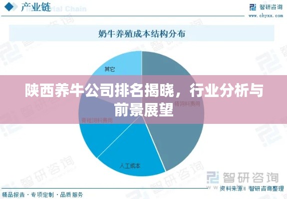 陜西養(yǎng)牛公司排名揭曉，行業(yè)分析與前景展望