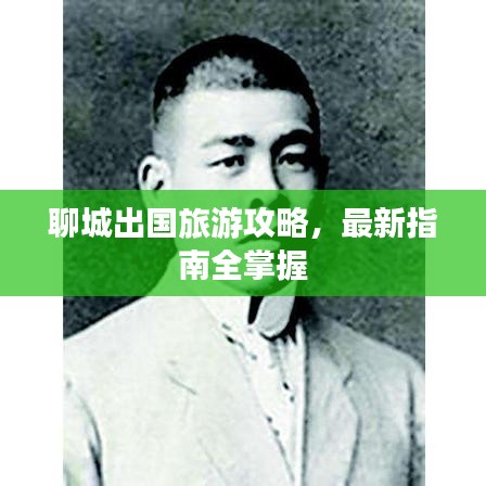 聊城出國旅游攻略，最新指南全掌握