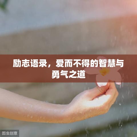 勵(lì)志語錄，愛而不得的智慧與勇氣之道