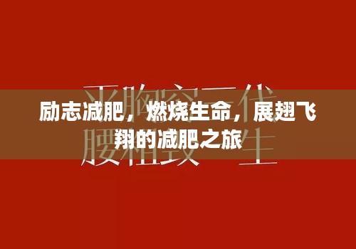 勵(lì)志減肥，燃燒生命，展翅飛翔的減肥之旅