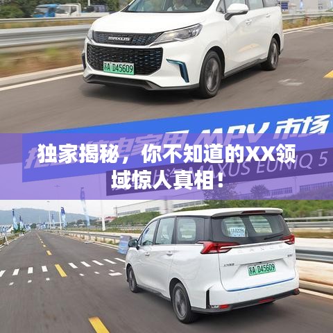 獨家揭秘，你不知道的XX領(lǐng)域驚人真相！