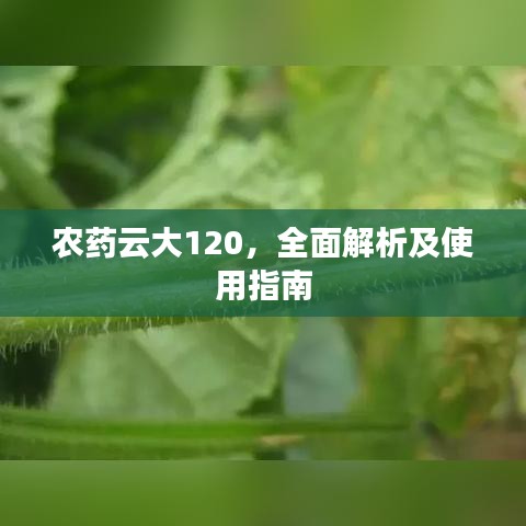 間不容發(fā) 第3頁
