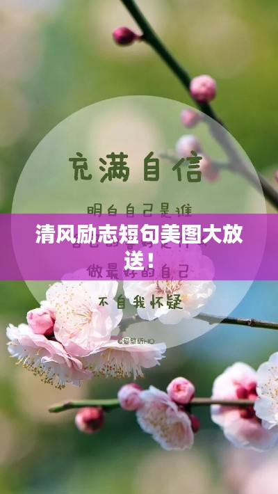 清風勵志短句美圖大放送！