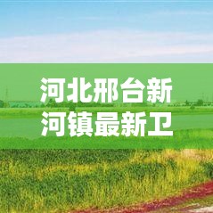 和為貴 第2頁(yè)