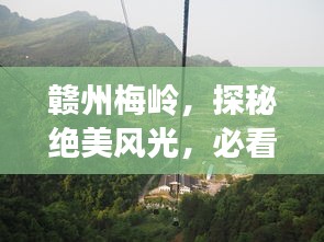 贛州梅嶺，探秘絕美風(fēng)光，必看的旅游攻略！