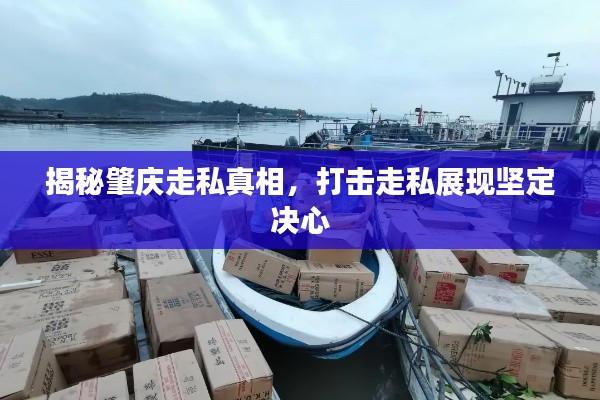 揭秘肇慶走私真相，打擊走私展現(xiàn)堅(jiān)定決心