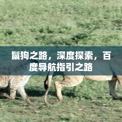 鬣狗之路，深度探索，百度導(dǎo)航指引之路