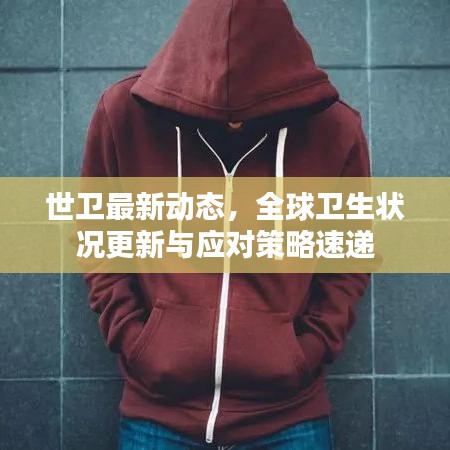 世衛(wèi)最新動態(tài)，全球衛(wèi)生狀況更新與應對策略速遞