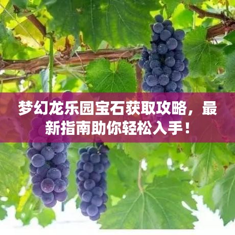 夢幻龍樂園寶石獲取攻略，最新指南助你輕松入手！