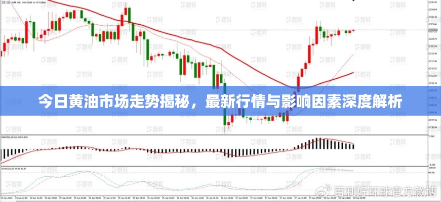 今日黃油市場走勢揭秘，最新行情與影響因素深度解析