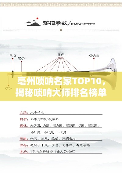 亳州嗩吶名家TOP10，揭秘嗩吶大師排名榜單！