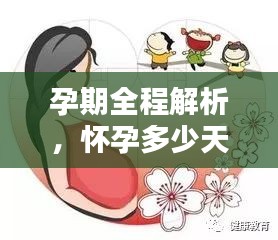 孕期全程解析，懷孕多少天會分娩？