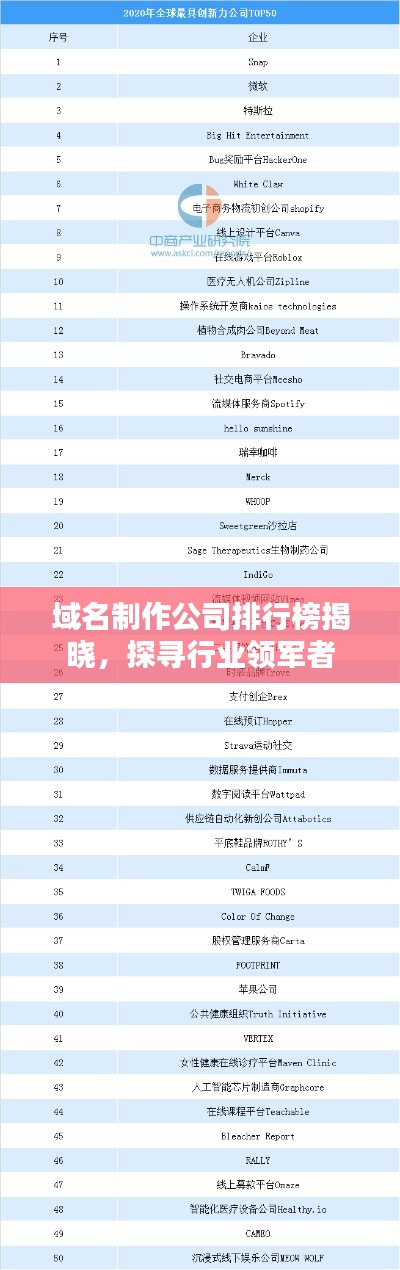 域名制作公司排行榜揭曉，探尋行業(yè)領(lǐng)軍者