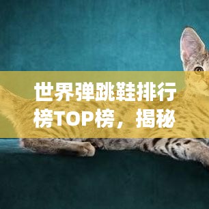 世界彈跳鞋排行榜TOP榜，揭秘彈跳力最強(qiáng)的鞋款！