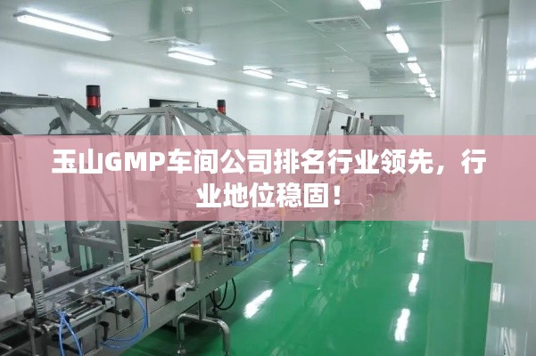玉山GMP車間公司排名行業(yè)領(lǐng)先，行業(yè)地位穩(wěn)固！