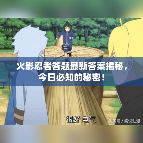 火影忍者答題最新答案揭秘，今日必知的秘密！