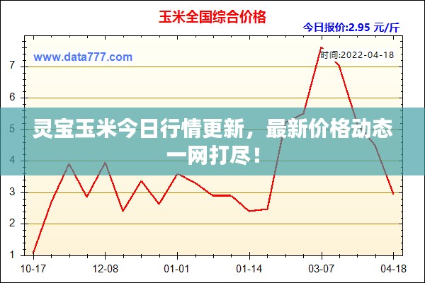 靈寶玉米今日行情更新，最新價(jià)格動(dòng)態(tài)一網(wǎng)打盡！