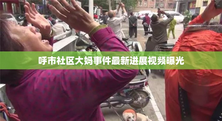 呼市社區(qū)大媽事件最新進(jìn)展視頻曝光
