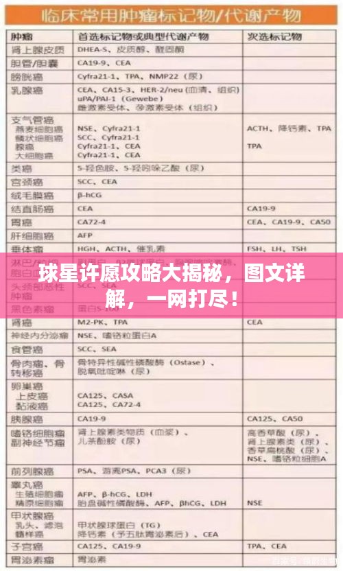 球星許愿攻略大揭秘，圖文詳解，一網(wǎng)打盡！