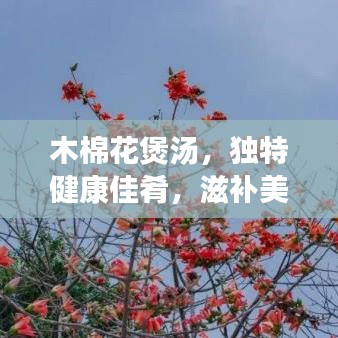 木棉花煲湯，獨(dú)特健康佳肴，滋補(bǔ)美味之選