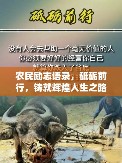 農(nóng)民勵(lì)志語錄，砥礪前行，鑄就輝煌人生之路