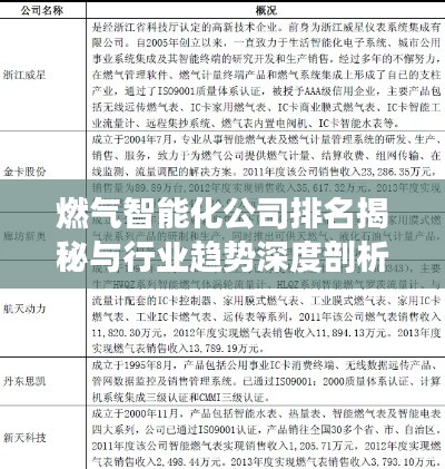 燃氣智能化公司排名揭秘與行業(yè)趨勢深度剖析