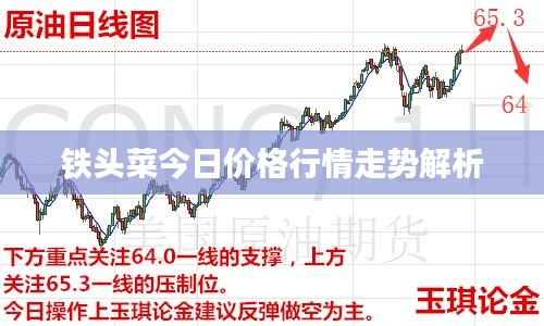 鐵頭菜今日價格行情走勢解析