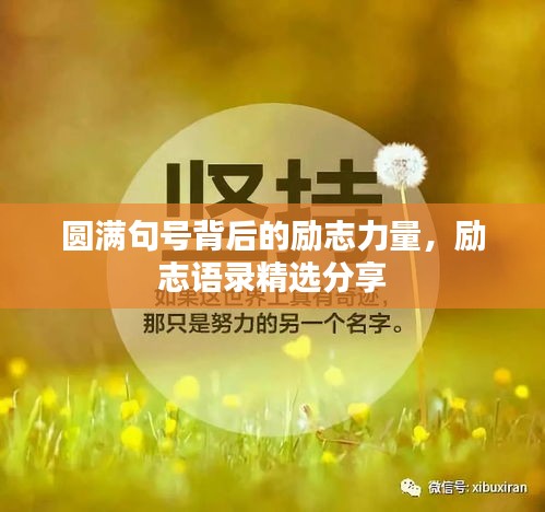 圓滿句號(hào)背后的勵(lì)志力量，勵(lì)志語錄精選分享