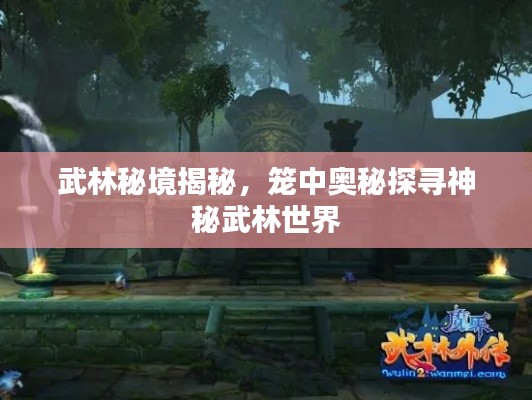 武林秘境揭秘，籠中奧秘探尋神秘武林世界